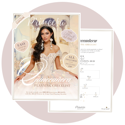 princesa-checklist-circle-web-icon